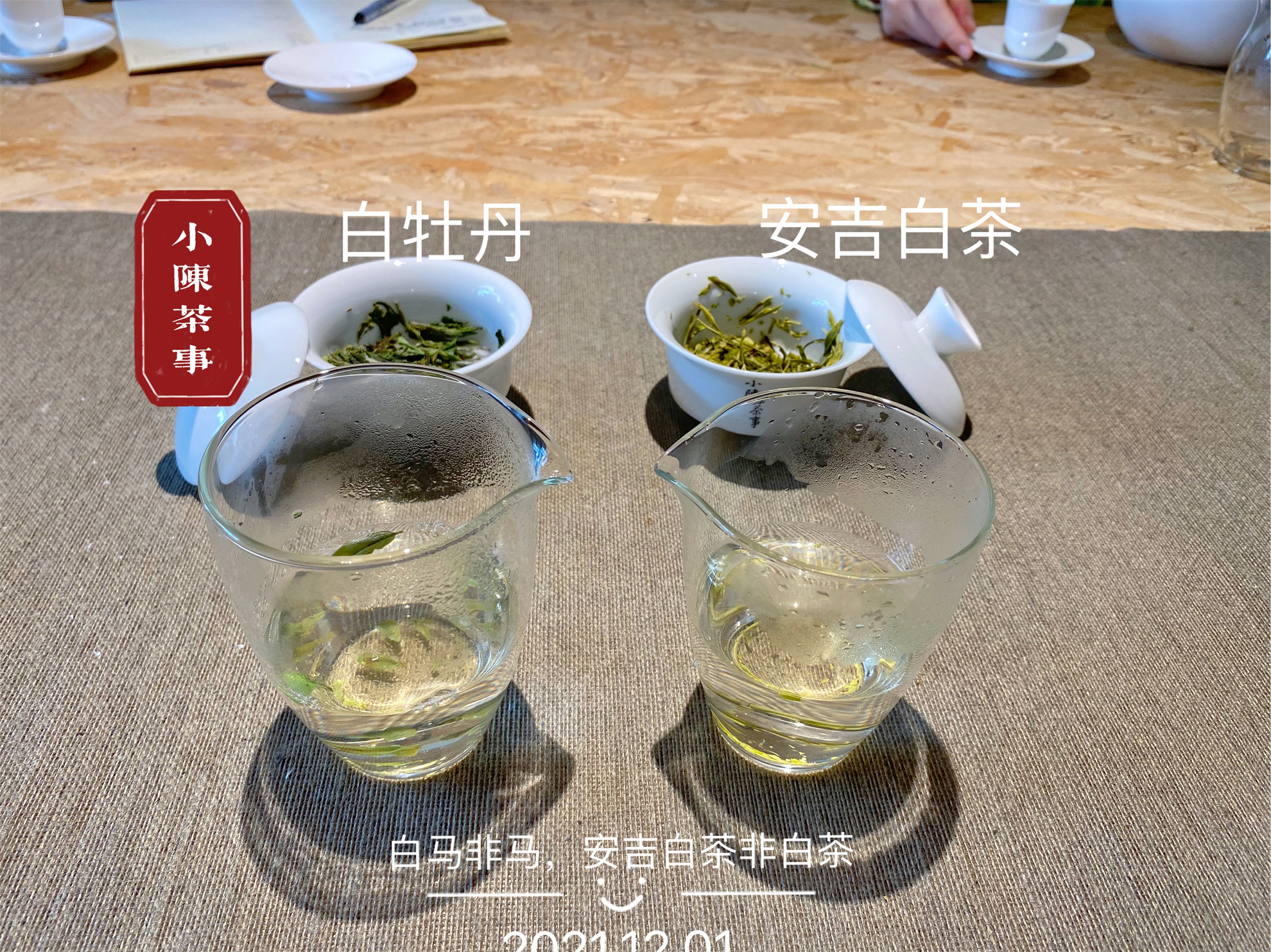 春茶分类 绿茶与白茶区别 青茶与红茶识别_有关茶叶知识