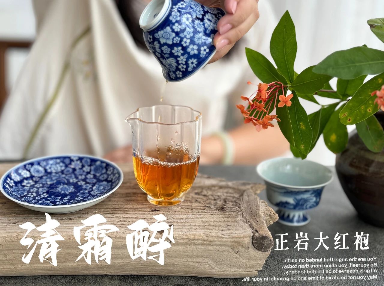 春茶分类 绿茶与白茶区别 青茶与红茶识别_有关茶叶知识