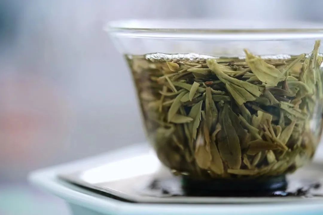 茶类与茶树关系_有关茶叶知识_茶树基础知识