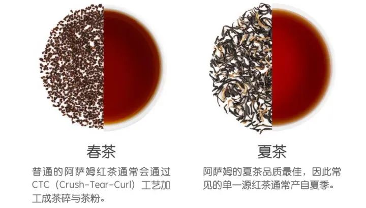 中国名茶介绍_茶叶进出口流程详解_有关茶叶知识