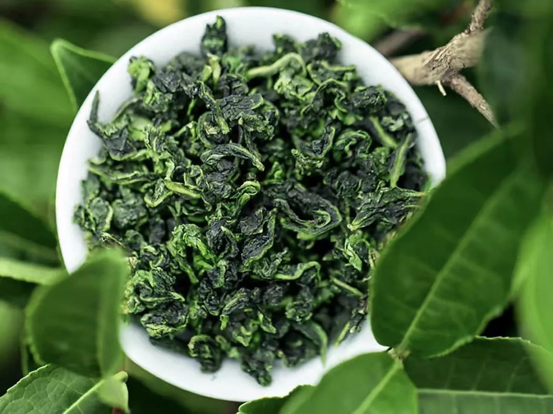 有关茶叶知识_中国名茶介绍_茶叶进出口流程详解