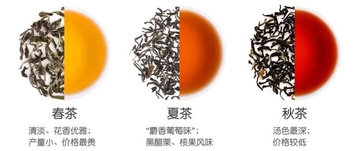 有关茶叶知识_中国名茶介绍_茶叶进出口流程详解