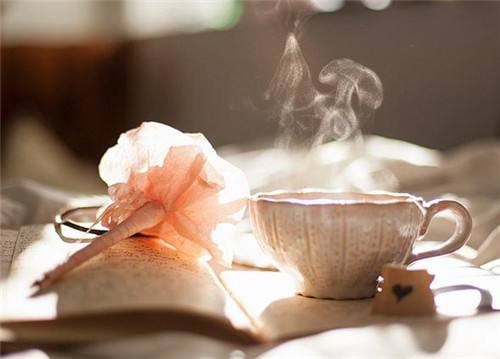 有关茶叶知识_喝茶养生功效配方_西洋参红枣茶月季花桂圆茶