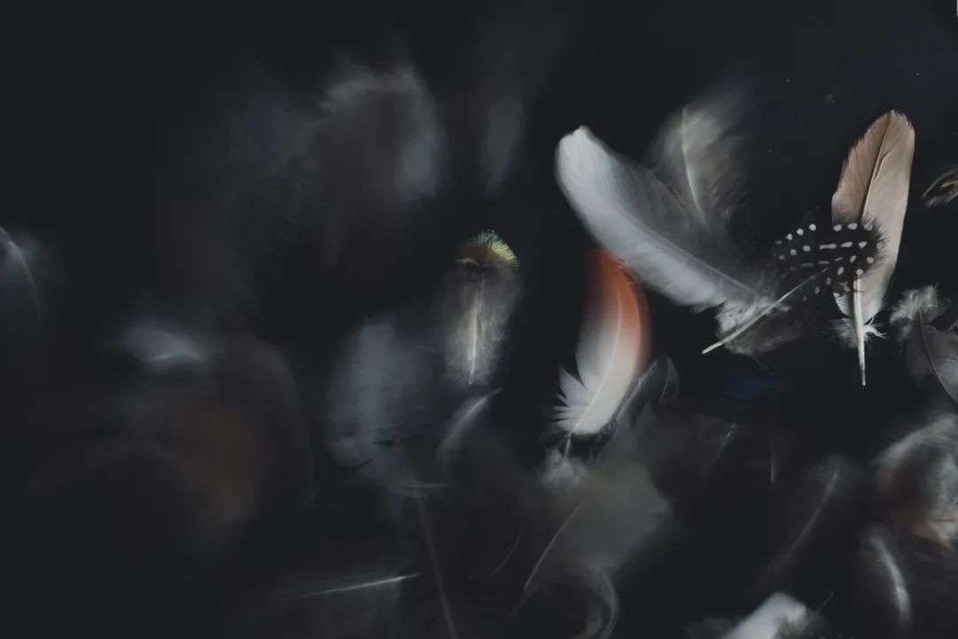 <strong>租房人，难逃二房东</strong>