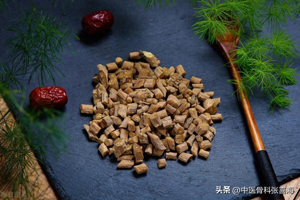 每天认识一味治腰中药——怀牛膝