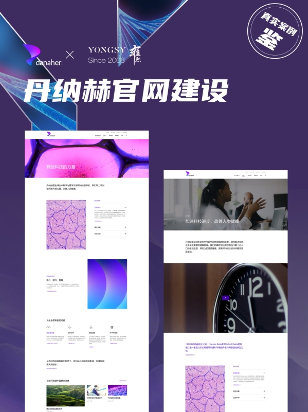 上海高端网站设计公司_上海seo网站优化_上海数字化转型服务商
