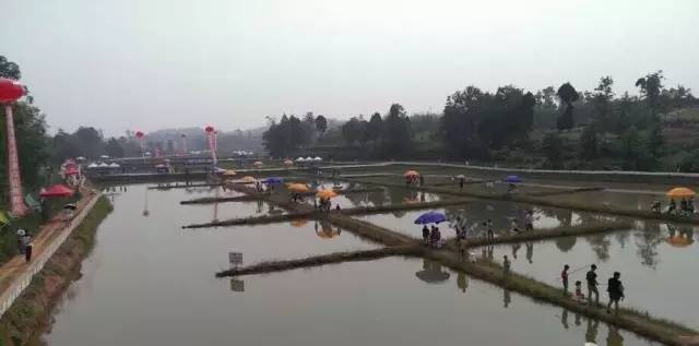 成都农家乐龙虾_成都龙虾钓点_成都周边钓鱼烧烤的地方