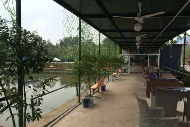 成都龙虾钓点_成都农家乐龙虾_成都周边钓鱼烧烤的地方