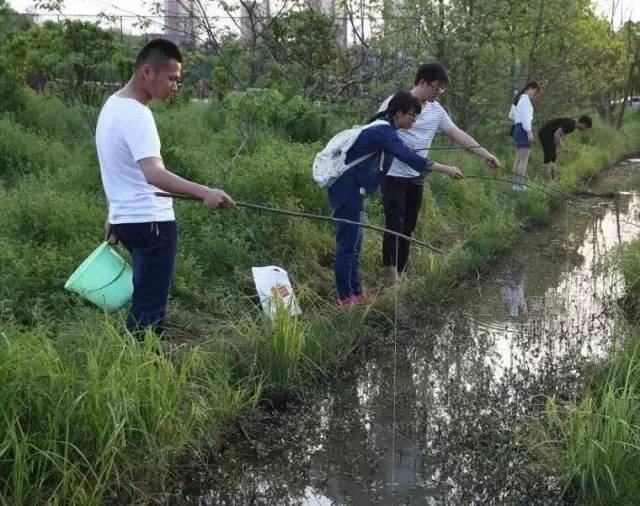 成都龙虾钓点_成都农家乐龙虾_成都周边钓鱼烧烤的地方