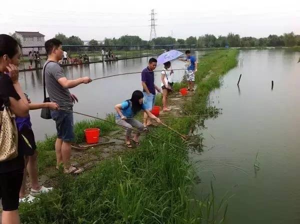 成都农家乐龙虾_成都周边钓鱼烧烤的地方_成都龙虾钓点