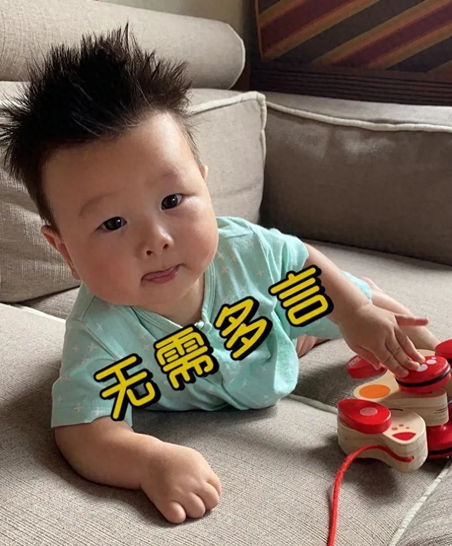成都周边绝美林荫绿道，超适合一日游！