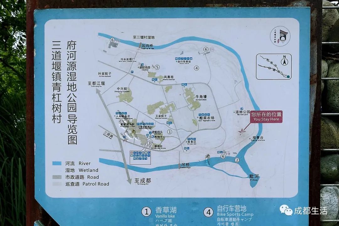 成都周边绝美林荫绿道,超适合一日游!(图20) 成都周边钓鱼烧烤的地方_青杠树村旅游攻略_成都骑行路线