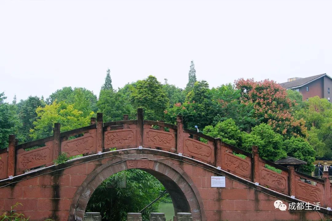成都周边绝美林荫绿道,超适合一日游!(图24) 青杠树村旅游攻略_成都周边钓鱼烧烤的地方_成都骑行路线
