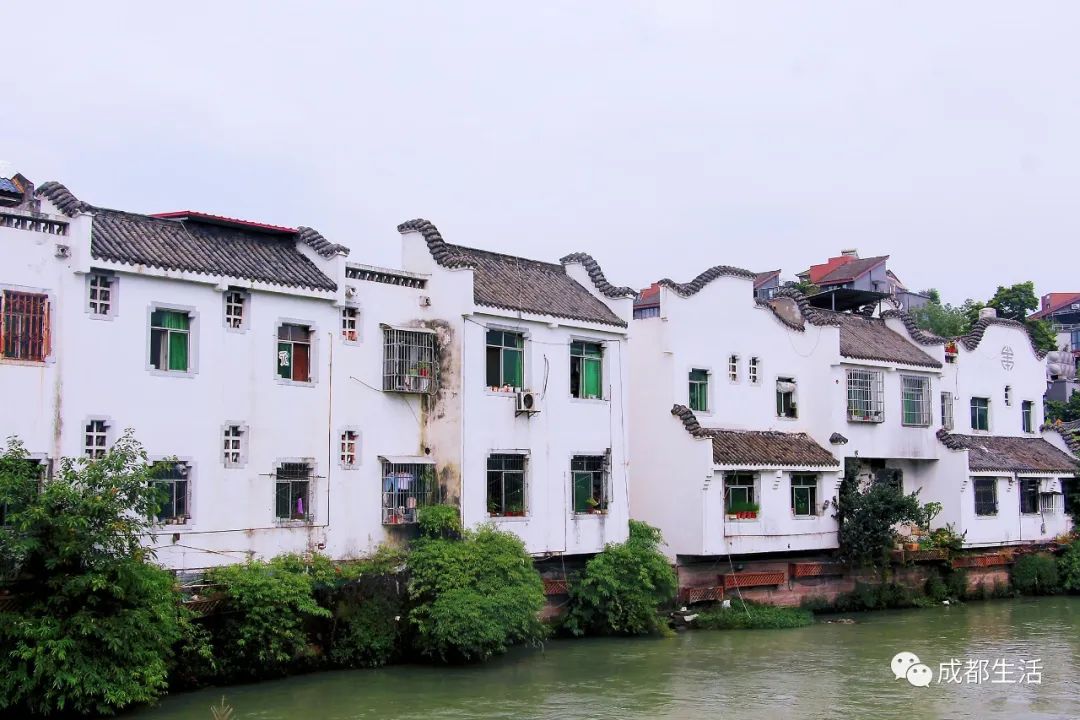成都周边绝美林荫绿道,超适合一日游!(图32) 青杠树村旅游攻略_成都骑行路线_成都周边钓鱼烧烤的地方