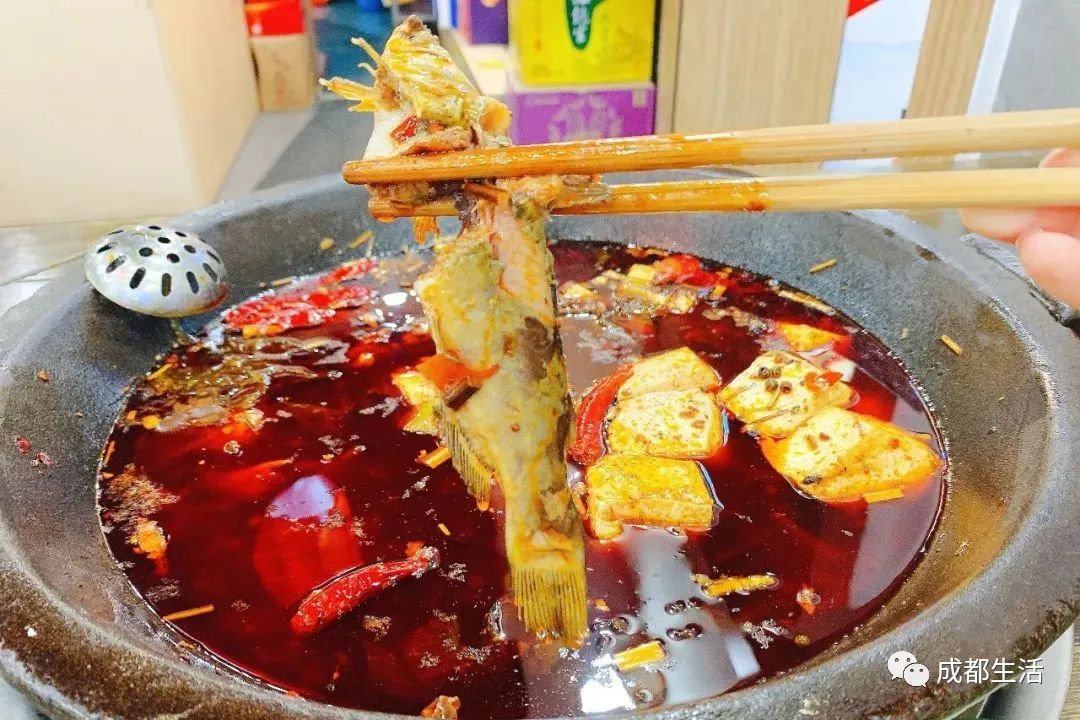 成都周边绝美林荫绿道,超适合一日游!(图39) 成都骑行路线_成都周边钓鱼烧烤的地方_青杠树村旅游攻略