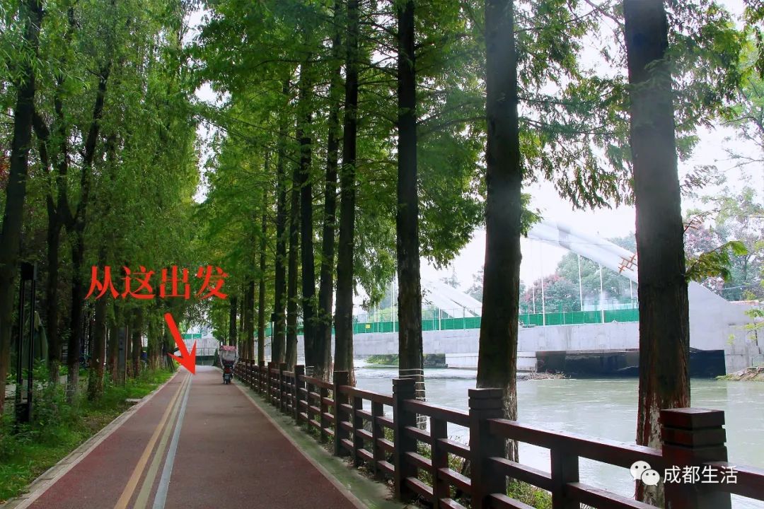 成都周边绝美林荫绿道,超适合一日游!(图5) 成都周边钓鱼烧烤的地方_青杠树村旅游攻略_成都骑行路线