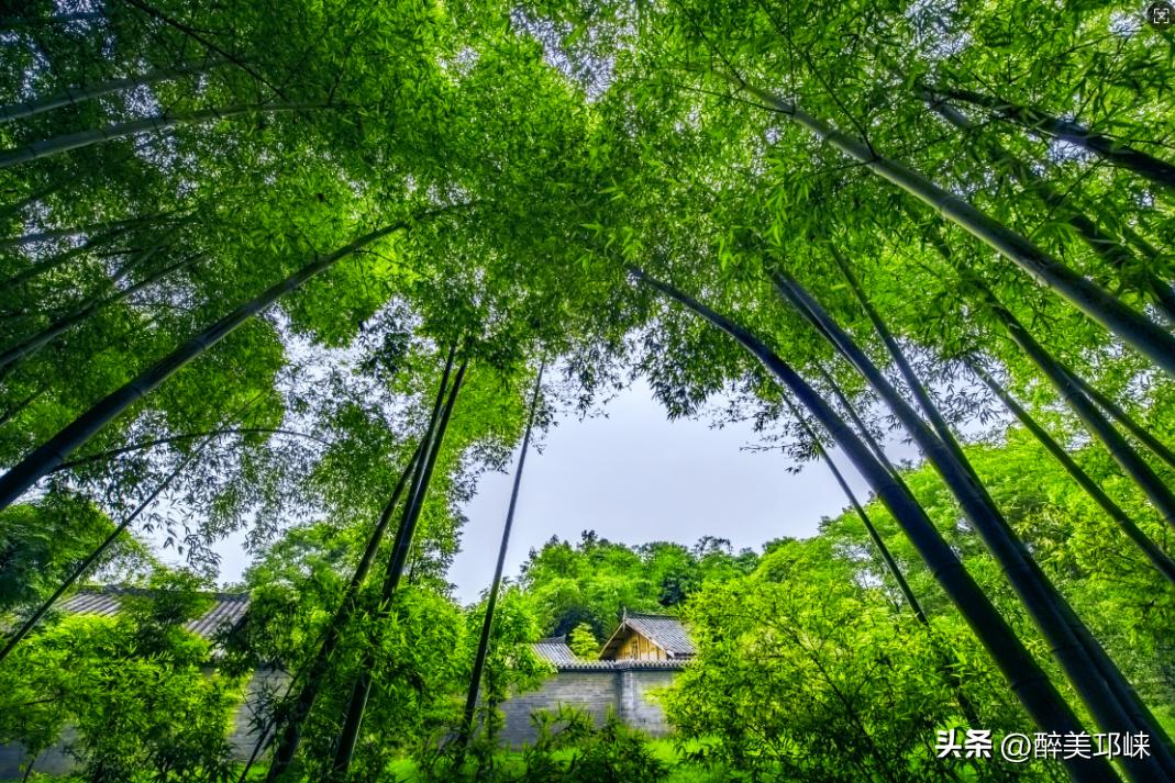 跟着世运游成都,这些「村游」目的地出圈又出片!(图12) 成都周边钓鱼烧烤的地方_成都周边乡村旅游_成都周边民宿度假