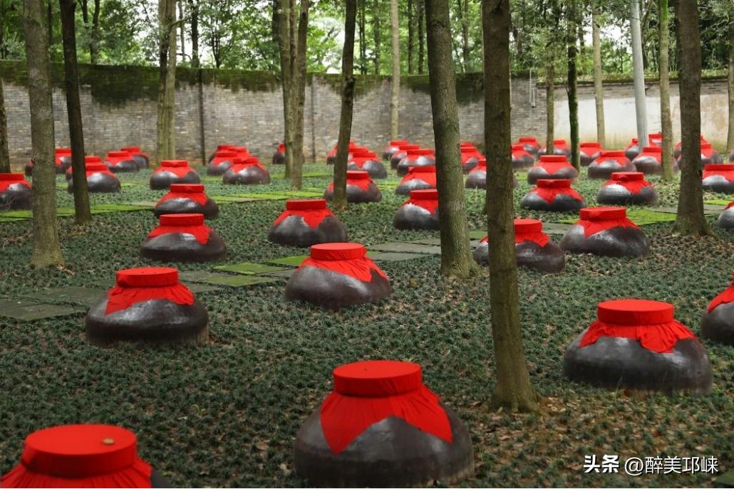 跟着世运游成都,这些「村游」目的地出圈又出片!(图25) 成都周边民宿度假_成都周边钓鱼烧烤的地方_成都周边乡村旅游