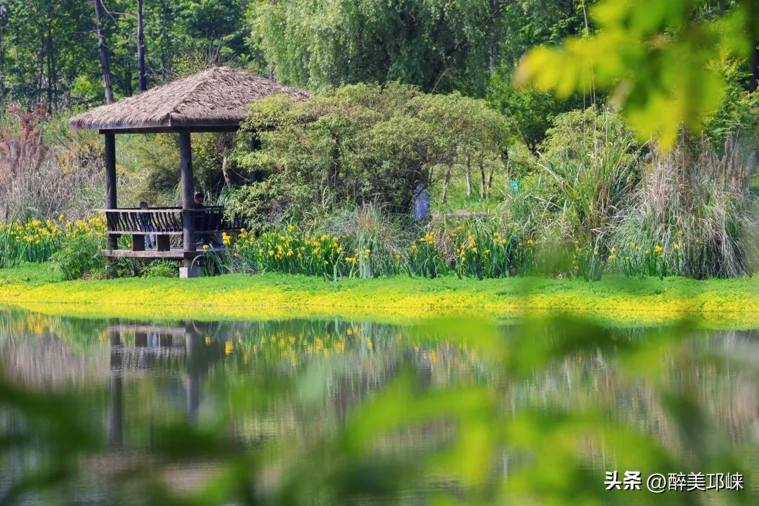 跟着世运游成都,这些「村游」目的地出圈又出片!(图8) 成都周边民宿度假_成都周边乡村旅游_成都周边钓鱼烧烤的地方