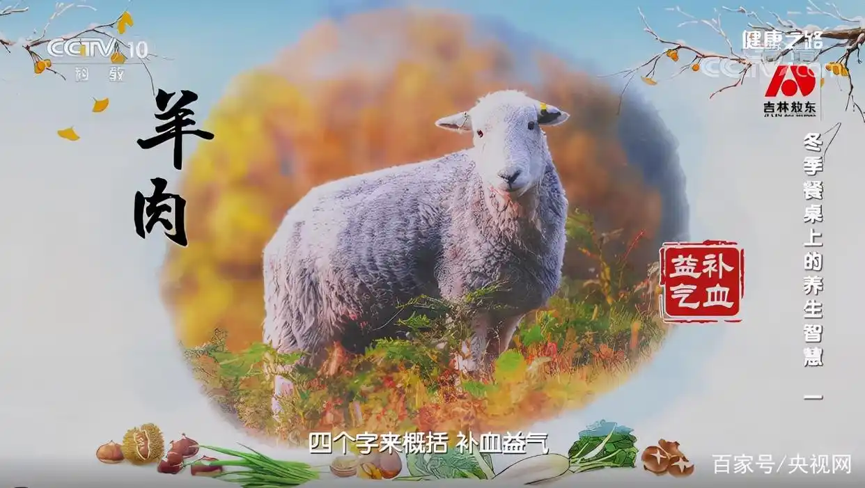 人间美味！羊肉配上几种辅料堪称一绝 多吃不上火
