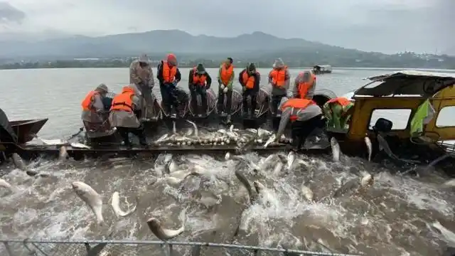 西昌电视台特色美食推荐_西昌开海节 邛海鱼鲜体验 国庆中秋邛海美食节
