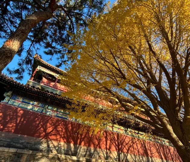 去北京旅游去哪玩?北京口碑最好5个旅行社与北京必去景点全解析(图2) 北京口碑最好旅行社推荐_北京必去景点攻略_北京前门小吃