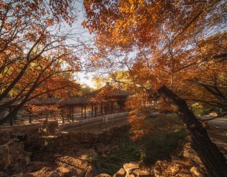 去北京旅游去哪玩?北京口碑最好5个旅行社与北京必去景点全解析(图3) 北京前门小吃_北京必去景点攻略_北京口碑最好旅行社推荐