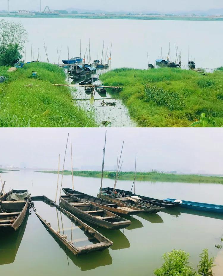 广州出发-顺德1天游,逛黄连古村+逢简水乡+乘船登海寿岛(图12) 广州顺德美食一日游_黄连古村逢简水乡海寿岛_顺德杏坛逢简水乡小食