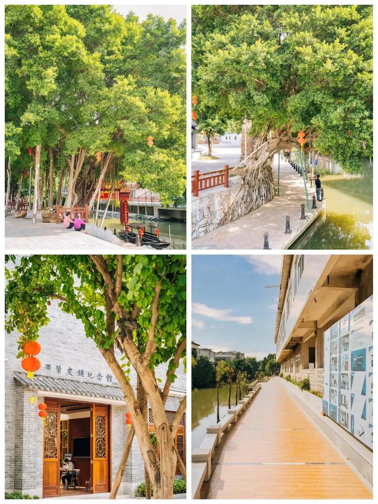 广州出发-顺德1天游,逛黄连古村+逢简水乡+乘船登海寿岛(图19) 黄连古村逢简水乡海寿岛_广州顺德美食一日游_顺德杏坛逢简水乡小食