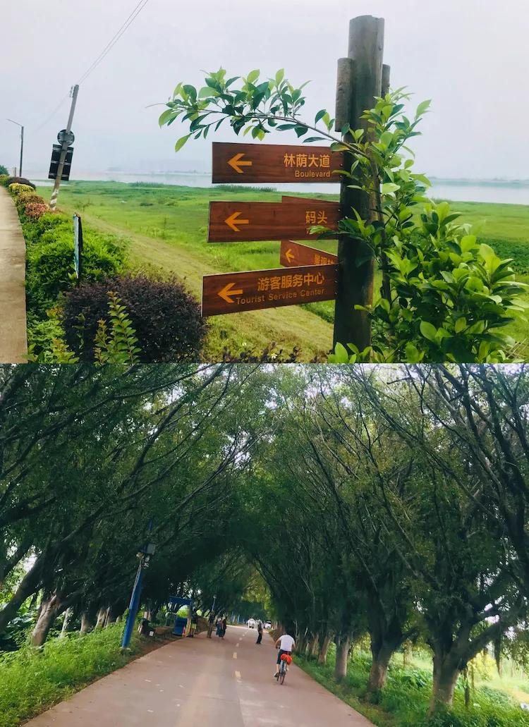 广州出发-顺德1天游,逛黄连古村+逢简水乡+乘船登海寿岛(图10) 黄连古村逢简水乡海寿岛_顺德杏坛逢简水乡小食_广州顺德美食一日游