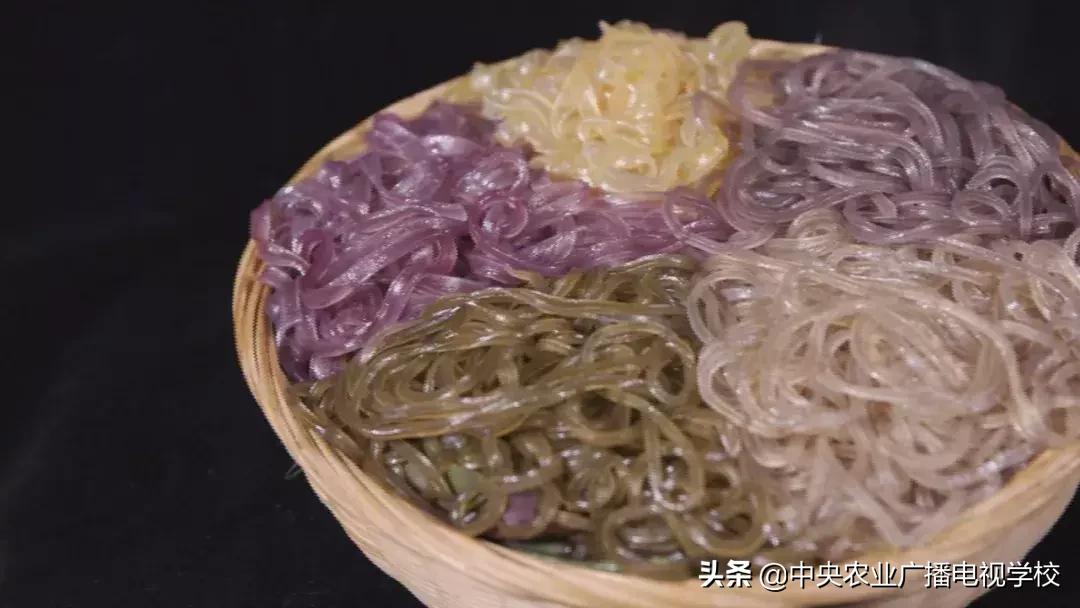 【农广天地】五彩旱藕粉 游鸡满天飞