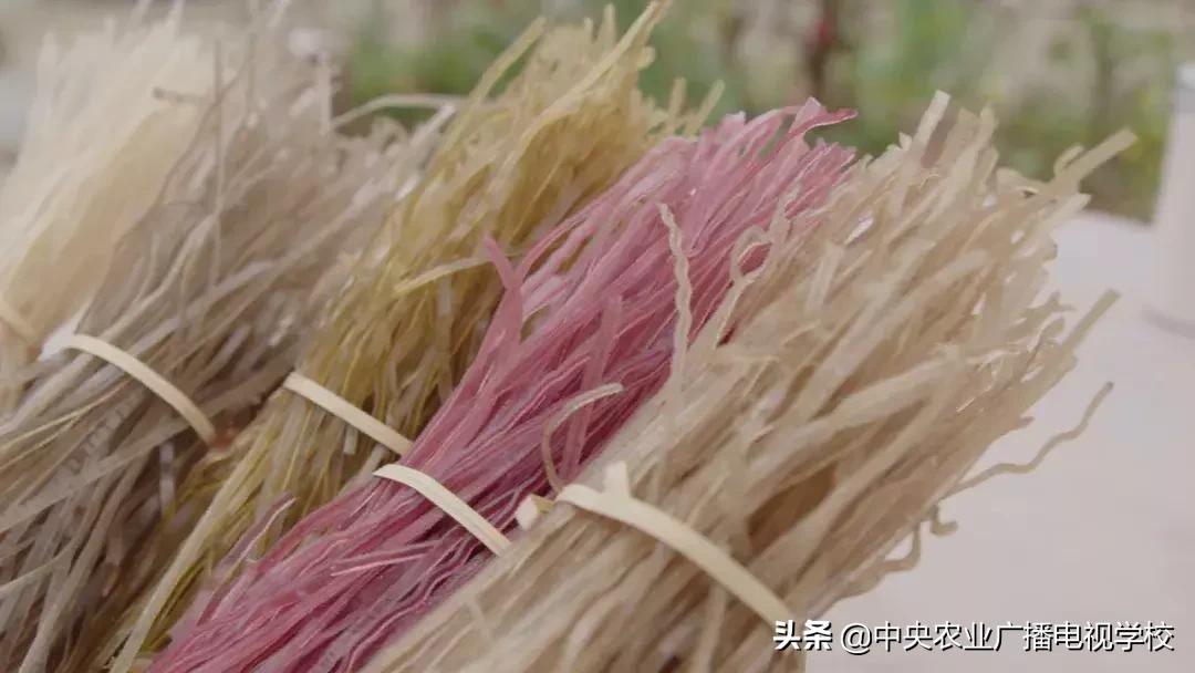 【农广天地】五彩旱藕粉 游鸡满天飞(图5) 天等土鸡养殖技巧_农广天地小吃全部视频_五彩旱藕粉制作方法