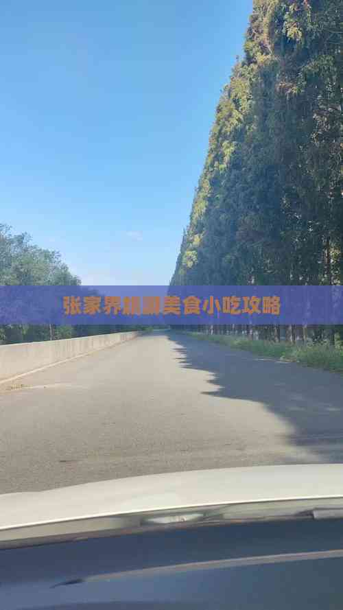 张家界旅游美食小吃攻略