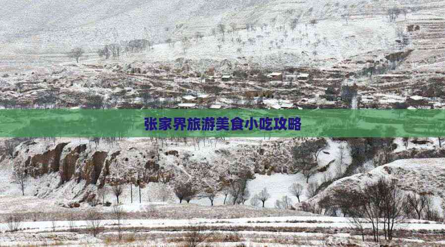 张家界旅游美食小吃攻略(图2) 张家界旅游美食小吃攻略