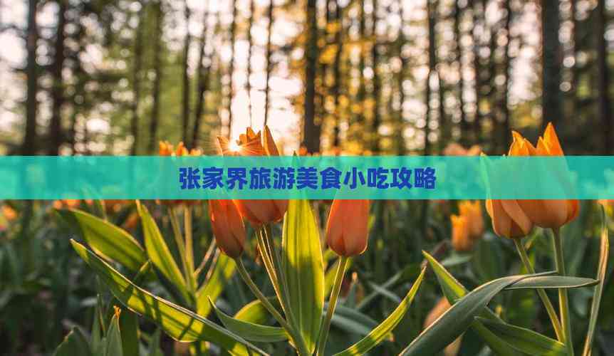 张家界旅游美食小吃攻略(图3) 张家界旅游美食小吃攻略