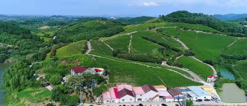 秋游去哪儿?品蟹黄汤包,或者去南方看海(图3) 长三角唐诗之路_天目湖乡村游_泰州特色美食推荐