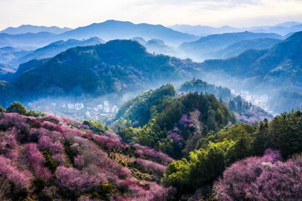 文化中国行·长江之歌 | 这一口地道徽菜,“藏”着人间至味(图3) 徽菜代表菜有哪些_安徽地理环境划分 皖北皖中皖南地区划分 _ 徽菜文化传承与特色菜品介绍