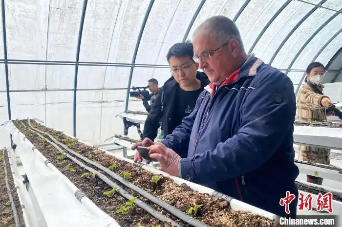 大棚里的“洋专家”