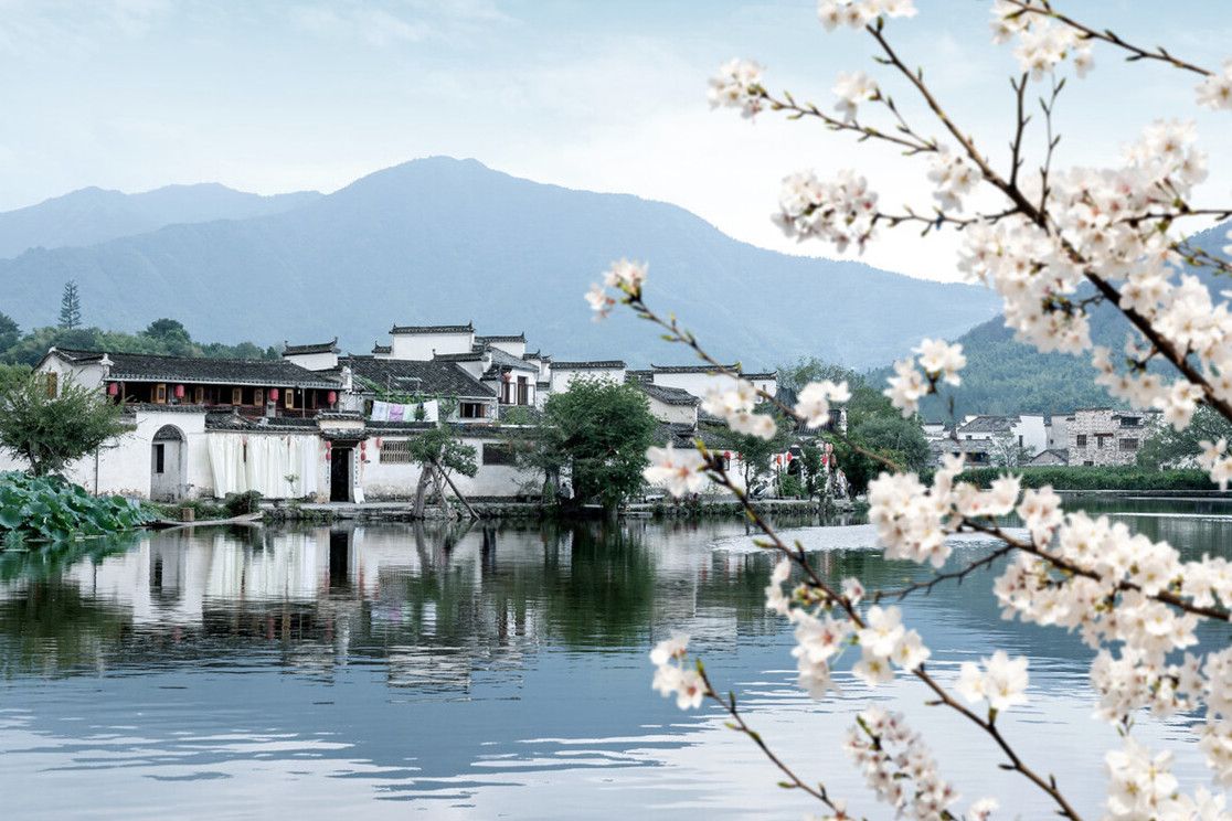 安徽“10大名菜”，你吃过几种？不愧属于八大菜系，实打实的好菜