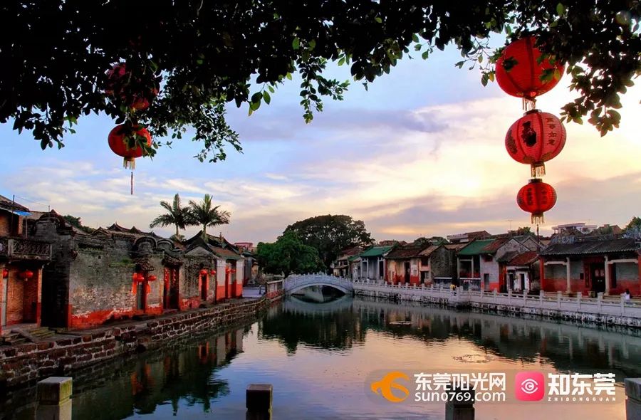 踏青、骑行、拍美照…东莞一日游攻略来了！