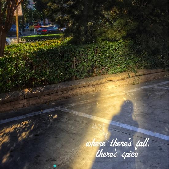 单反基础摄影技巧(图5) 什么是过时的拍摄手法5