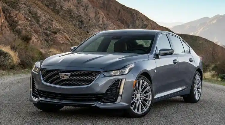 新车刚落地，汽车用品别乱买，只要配齐这八件就够用了