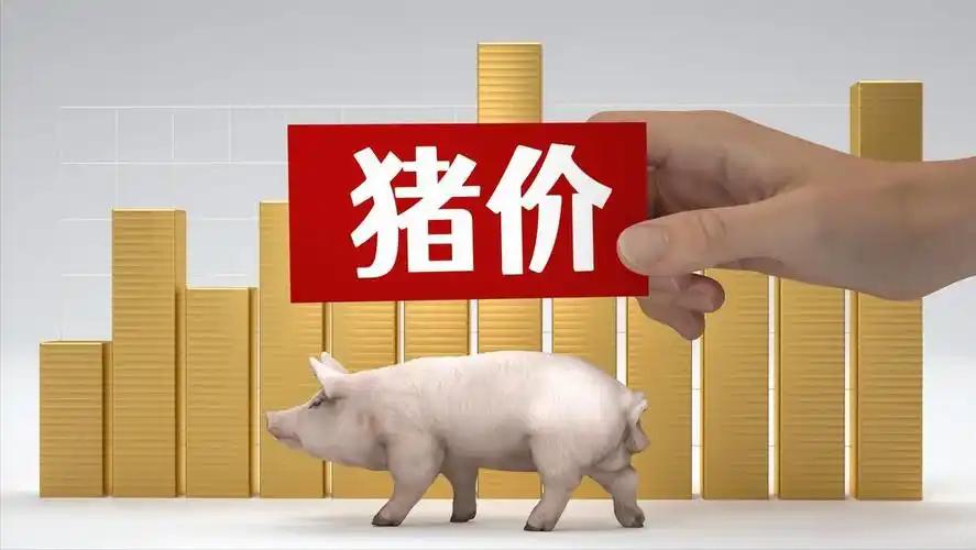 生猪价格